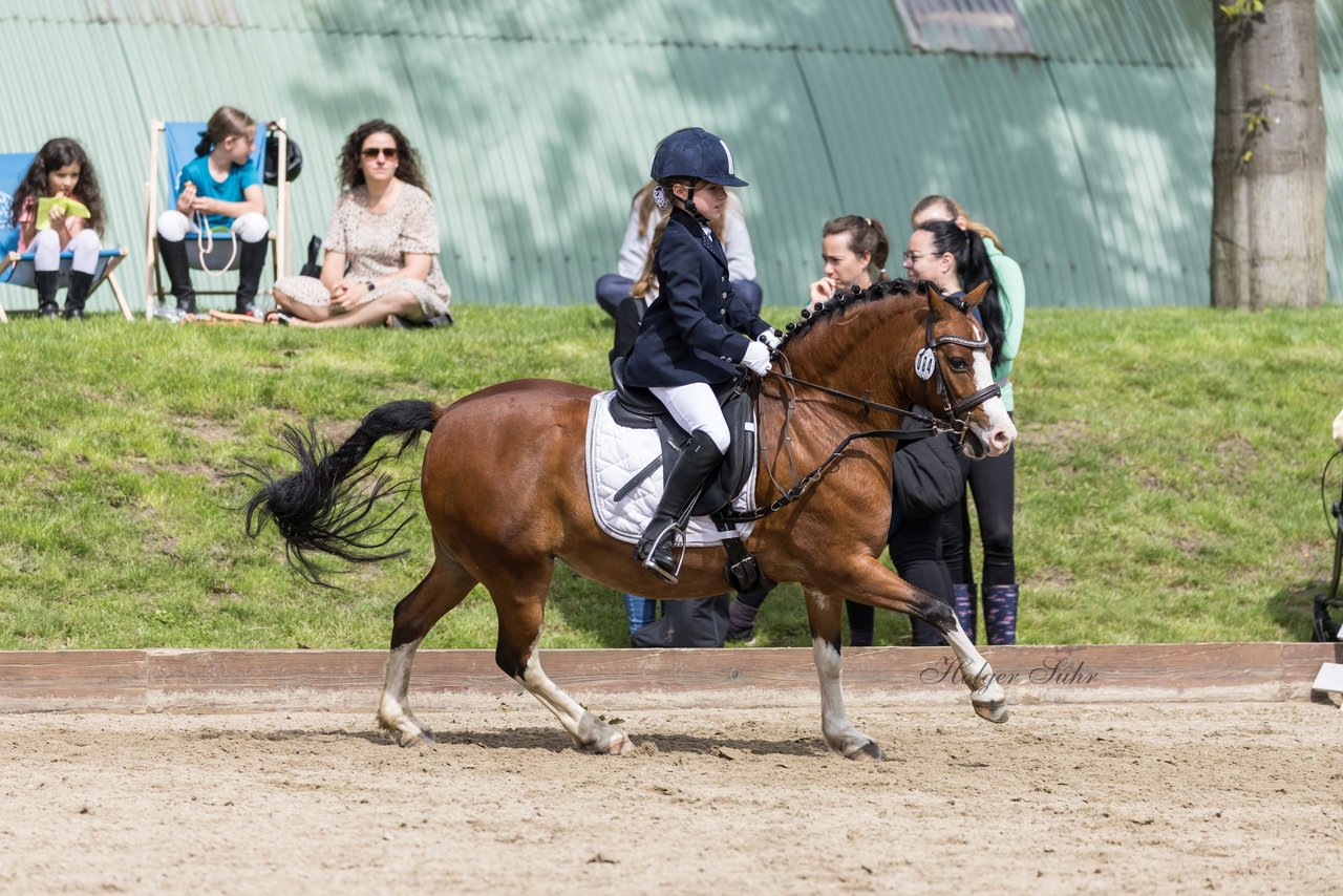 Bild 153 - Pony Akademie Turnier